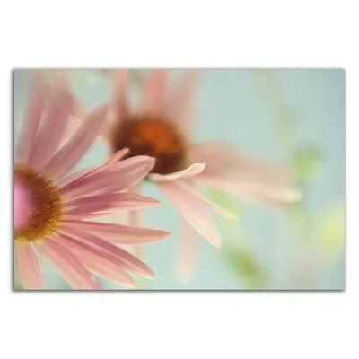&Daisy Days& by Judy Stalus - Wrapped Canvas Photograph Print Red Barrel Studio Size: 24x22 H x 36x22 W x 1.5x22 D