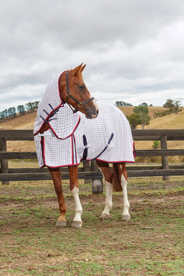 Weatherbeeta Summer Sheet Lite - Combo Neck - 78 - White/Navy/Red