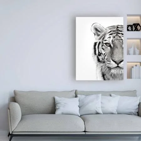 Trademark Fine Art Ic01204-C2432Gg Design Fabrikken 'White Tiger Fabri