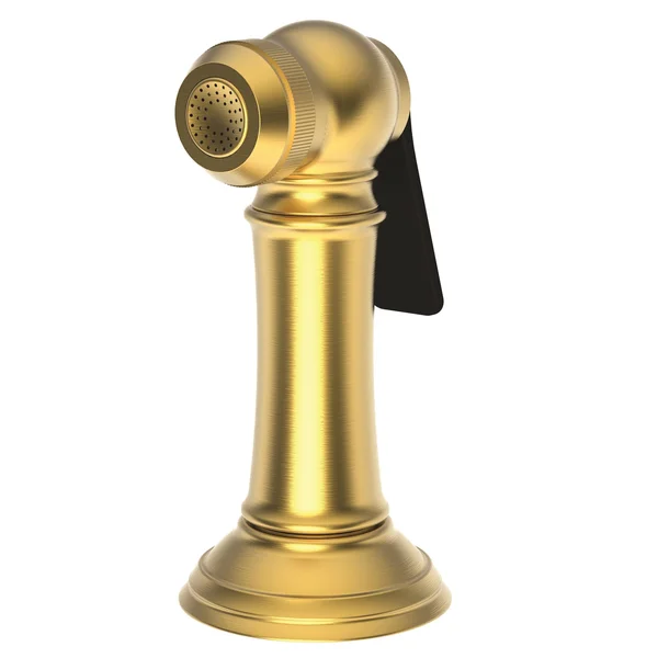 Newport Brass Jacobean Kitchen Spray Head Satin Brass PVD