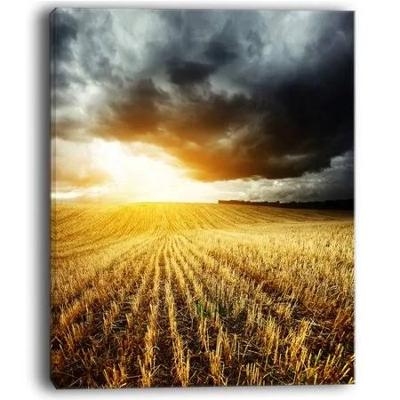 Design Art Storm Dark Clouds Over Wheat Stems Photographic Print on Wrapped Canvas - Yellow