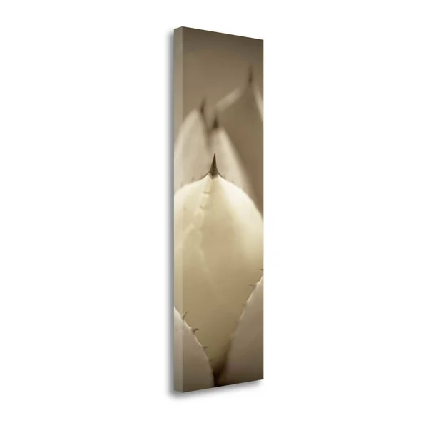 39x22 x 13x22 Florison - 67 by Alan Blaustein Fine Art Giclee Print