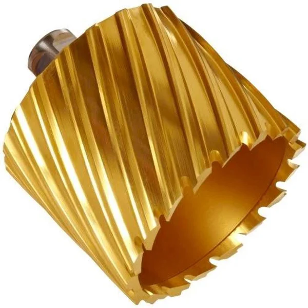 Fein - 63134206120, HSS Annular Cutter, Tin Coated, 13/16x22x2x22