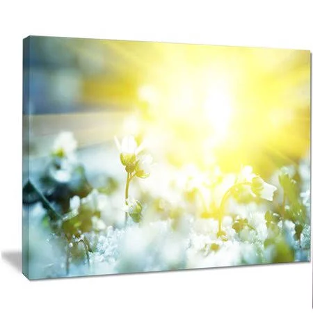 Design Art 'Beautiful White Flowers at Sunrise' Graphic Art on Wrapped Canvas