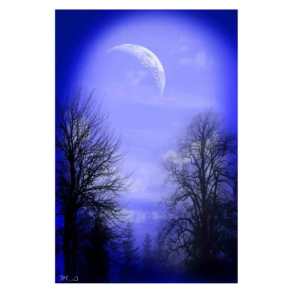 Louis Leonard Art Mystic Night by Mark Ashkenazi - Canvas Giclee Wall Art, 20 x 30