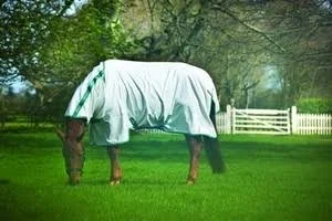 Amigo Aussie Allrounder Fly Sheet
