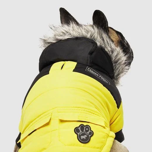 True North Parka - Yellow - Canada Pooch 229782