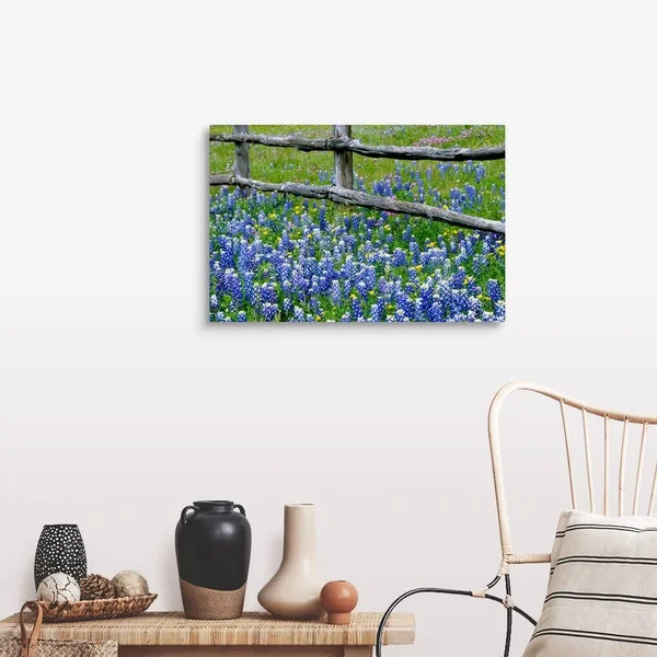 Great Big Canvas Bluebonnet Flowers Blooming Around Weathered Wood Fence Wall Art