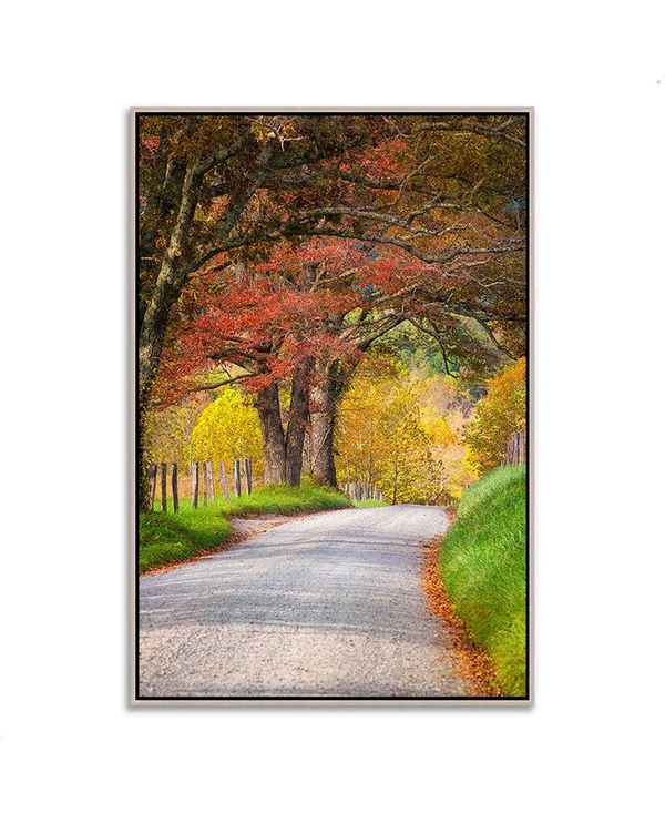 Tangletown Fine Art 47x22 x 32x22 Country Road II Fine Art Giclee Print