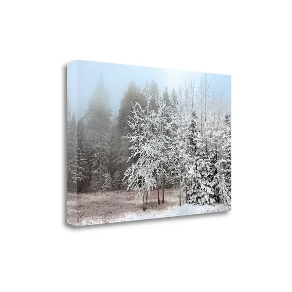 Tangletown Fine Art Frosty Morning by Mike Jones - Giclee Print on Gallery Wrap Canvas, 39x22x26x22