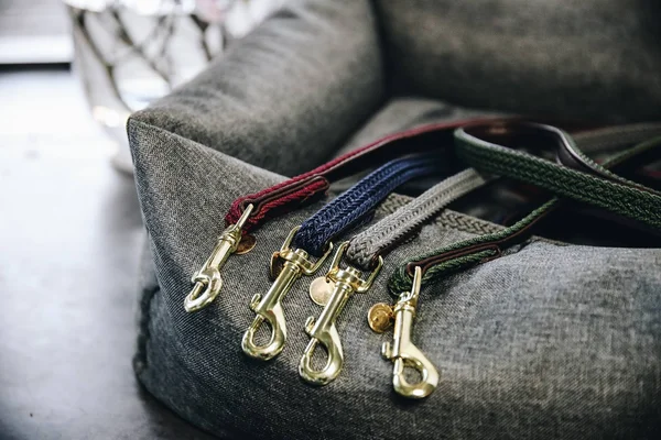 Kentucky Dog Lead Plaited Nylon
