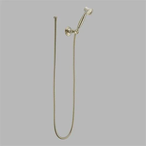 Brizo - RP41202BN - Vesi Wall-Mount Hand Shower Brushed Nickel
