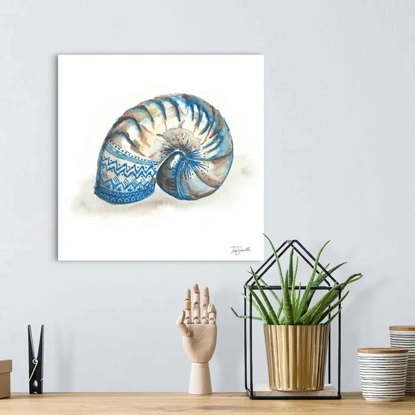 Bohemian Shells IV - Canvas Wall Art, 16x16, Great Big Canvas