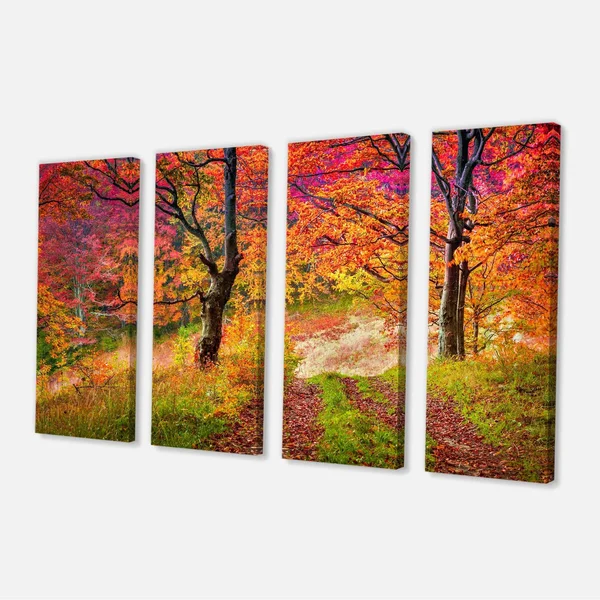 Design Art &Bright Colorful Fall Trees in Forest& Photographic Print on Wrapped Canvas - Size: 30 inch x 40 inch, Orange