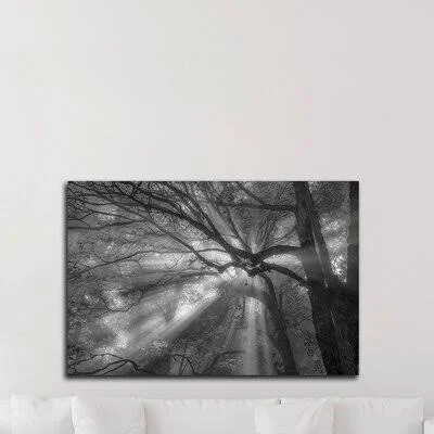 &Forest Fog& by Tim Oldford - Wrapped Canvas Photograph Print Red Barrel Studio Size: 24x22 H x 36x22 W x 1.5x22 D