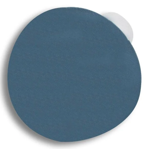 Pasco Abrasives Sanding Disc Sandpaper Tool Color: Blue, Size: 0.06x22 H x 5x22 W x 5x22 D P6.24-05120.DOR