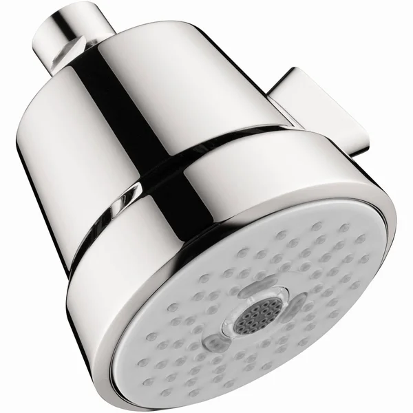 Hansgrohe 04500000 Club 100 Chrome Showerhead