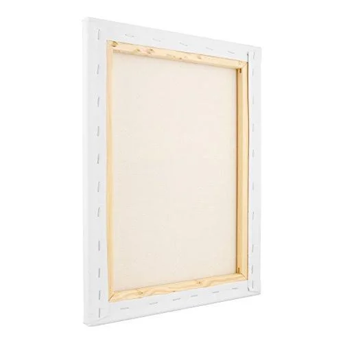 U.S. Art Supply 20 x 24 inch Stretched Canvas 12-Ounce Primed 6-Pack - Professio