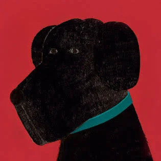 Oopsy Daisy - Barnaby - Black Canvas Wall Art 14x14 - Max Grover