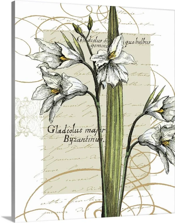 Florilegium IV, Canvas Wall Art, 24x30, Great Big Canvas
