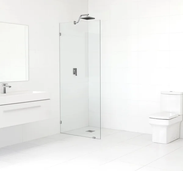 Glass Warehouse GW-SFP-25-BN 25x22 x 78x22 Frameless Fixed Glass Panel Finish: Brushed Nickel
