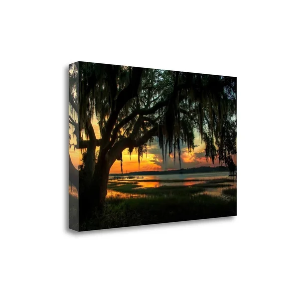 Tangletown Fine Art Savannah Evening by Natalie Mikaels - Giclee Print on Wrap Canvas, 28x18x22