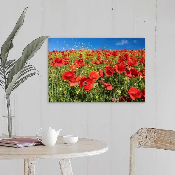 Spain, Andalusia, A Field of Bright and Cheerful Red Poppy Wildflowers, Canvas Wall Art, 24x16, Great Big Canvas