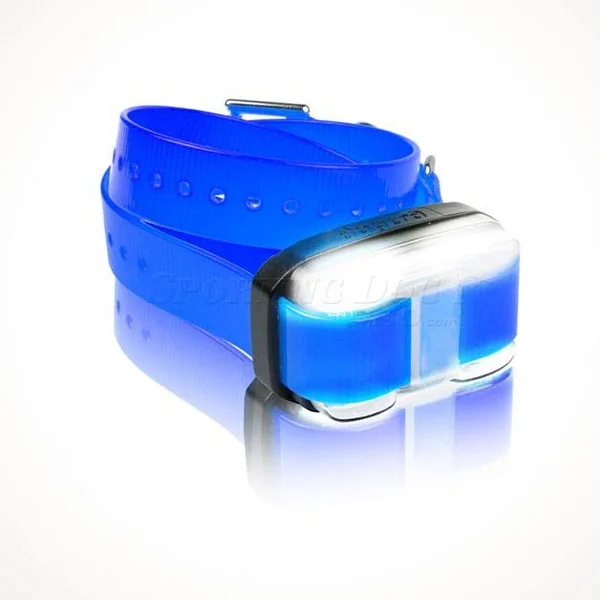 Dogtra Edge Remote Trainer