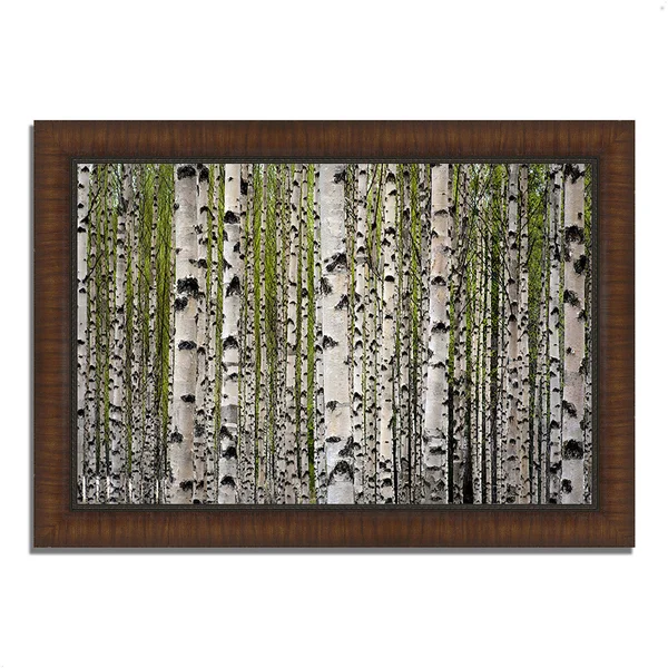 Tangletown Fine Art 'Spring Birch' Framed Photographic Print, Gray